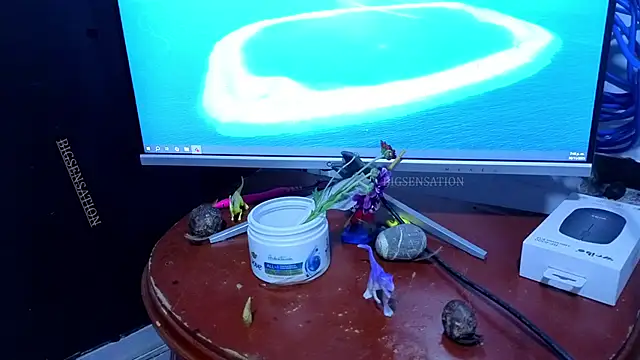 big_sensation_21s live sex cam