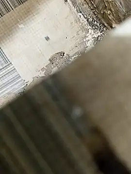 Jcj_bhabi's cam snapshot