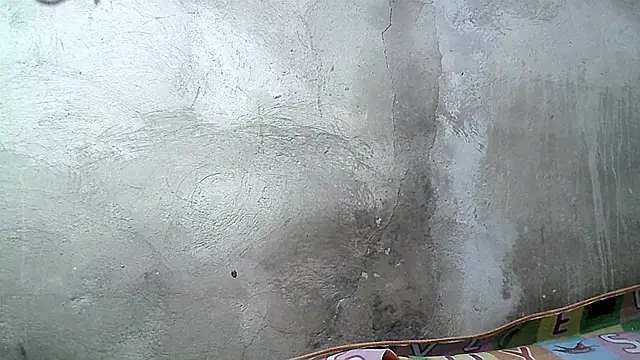 xwindyxxx's cam snapshot