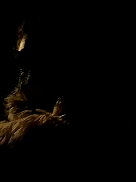 LoveSperm75 live sex cam