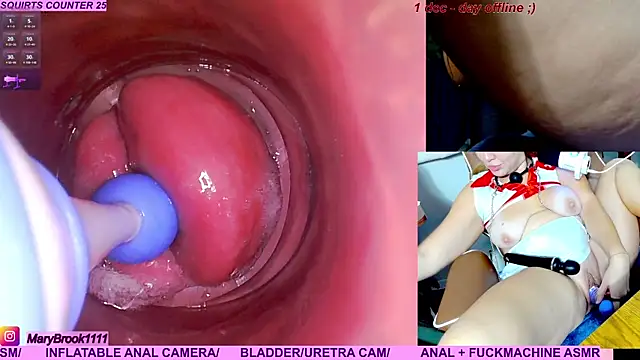 MaryBrook1 live sex cam