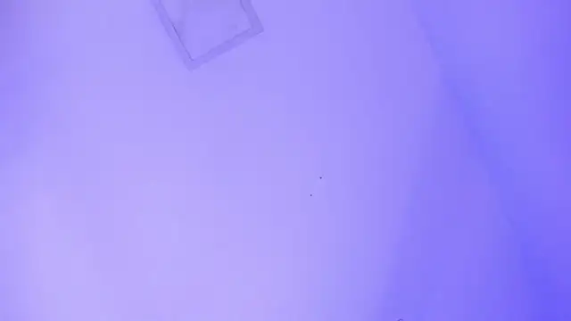 Gia_harmony's cam snapshot