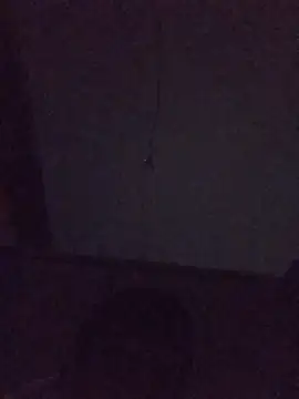 TuFlapito live sex cam