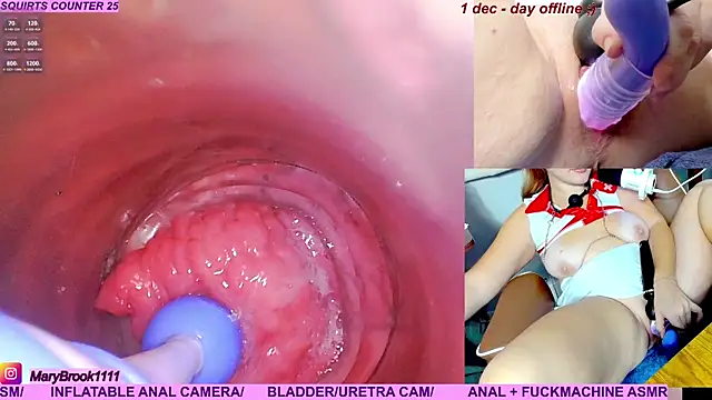 MaryBrook1 live sex cam