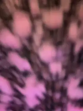 andra_rose's cam snapshot