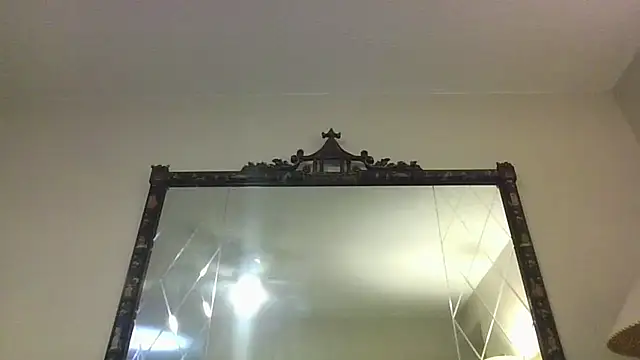 KosherCo313 live sex cam