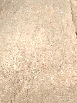 RAYI_Queen_4 live sex cam