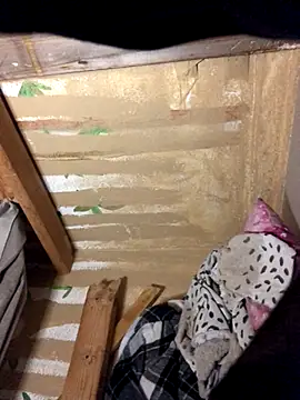 gabelove369 live sex cam