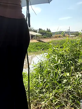 BigAssBee live sex cam