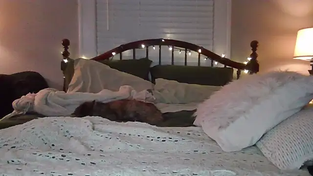 tattedsweets01's cam snapshot