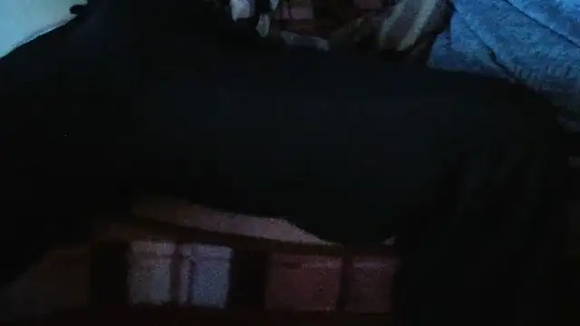 cumloverboyxx69 live sex cam