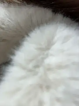 AngelinaTeller's cam snapshot