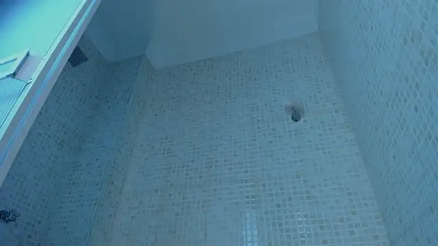 Ramona_Flower's cam snapshot