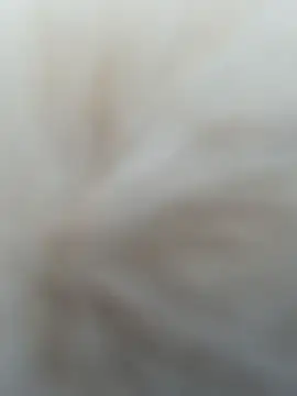 AngelinaTeller live sex cam