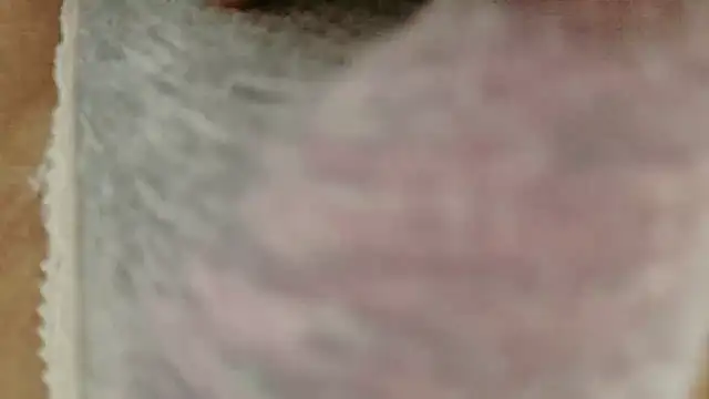 im_hina2 live sex cam