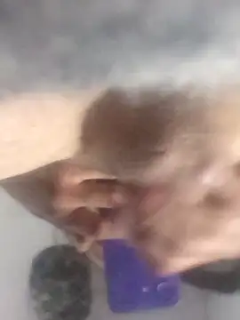 Southerngent1979 live sex cam