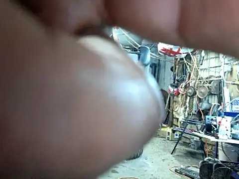 Frankdick01 live sex cam