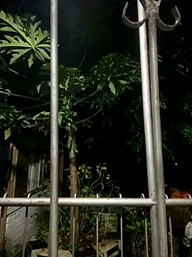 Jestebandiaz07 live sex cam