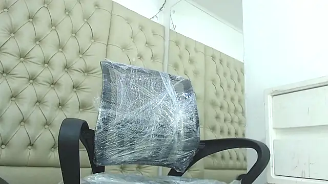 HollmanFronsh's web cam