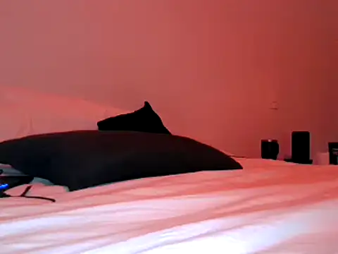 Iscariot19 live sex cam