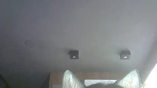 SkinnyKitten live sex cam