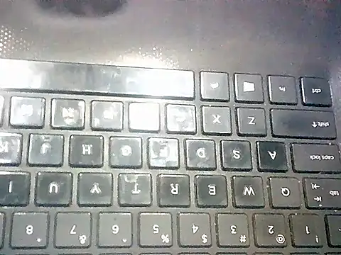 Wild_Paaro's cam snapshot