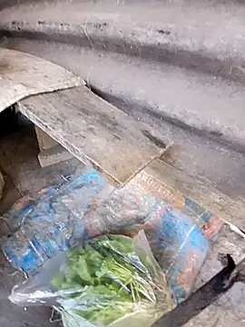 Muslim_cpl's cam snapshot