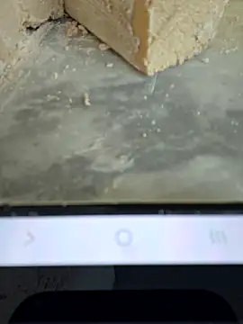 seloloko20 live sex cam