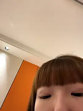 D-033's cam snapshot