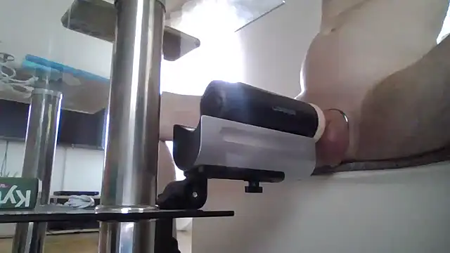 XLBarehengst live sex cam