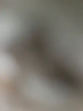 Exiaakatsuki's cam snapshot