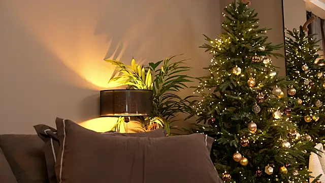 _keeti_'s cam snapshot