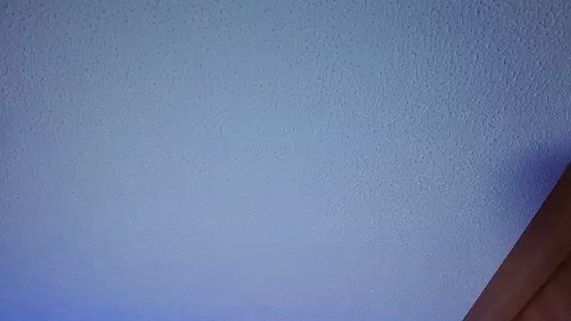 alisha17love's cam snapshot