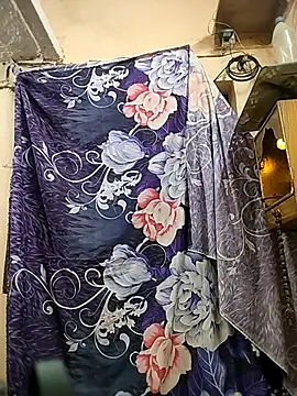 meenu_bhabhi547's cam snapshot