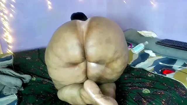 wilmaassylum's cam snapshot