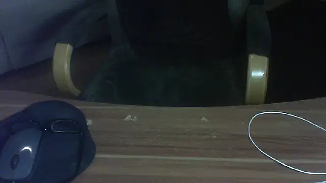 scotters_2's cam snapshot