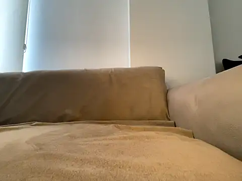 Banshhee's cam snapshot