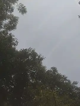 gawwalibhabhi_24 live sex cam