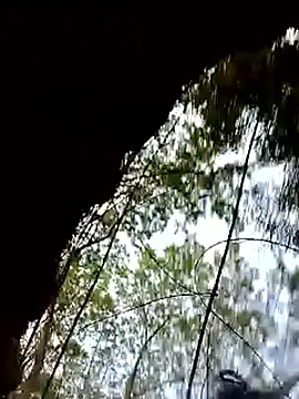 Rs_sonam's cam snapshot