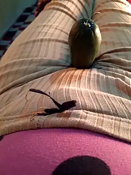 Tota_sexi live sex cam