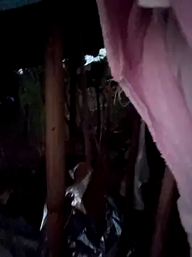 nat-tri's cam snapshot