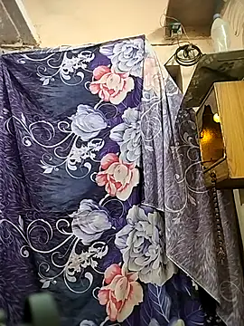 meenu_bhabhi547's cam snapshot