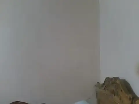 elpoop7305 live sex cam