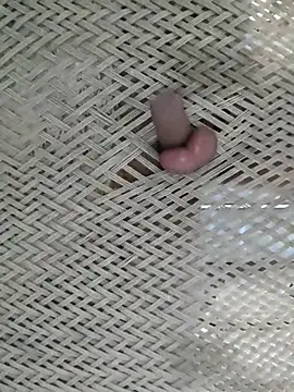 Lovingsol's cam snapshot