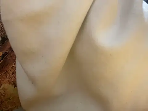 riri_riri_jp's cam snapshot