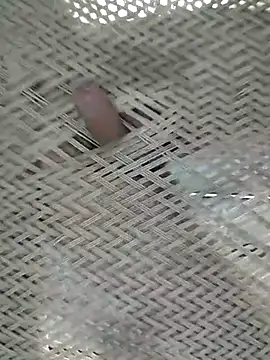 Lovingsol's cam snapshot