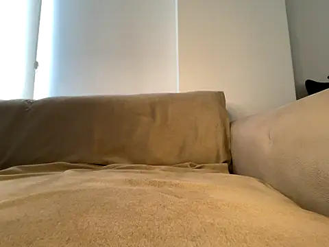 Banshhee's cam snapshot