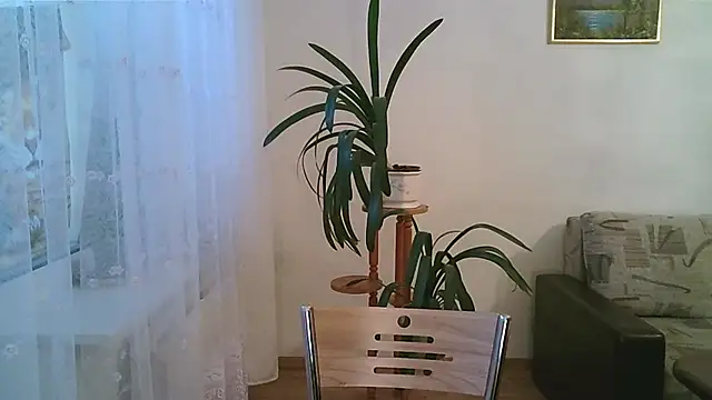 Dartanjanas13's cam snapshot