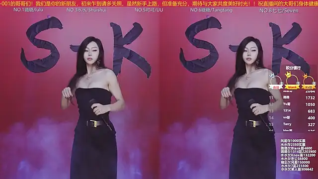 SK-001's cam snapshot