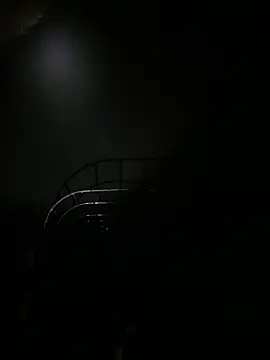 SL_NIKI_PUBLIC's cam snapshot